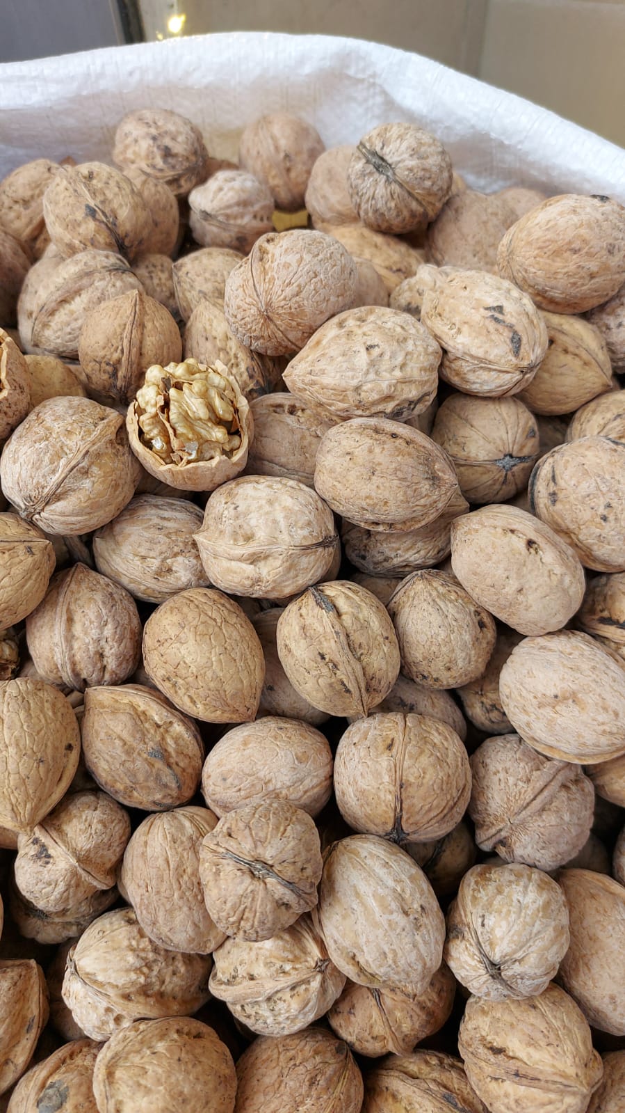 Yerli Kabuklu Ceviz